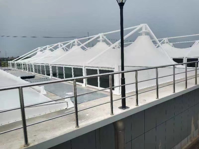 1631863187867210.jpg 1631863187867210.jpg